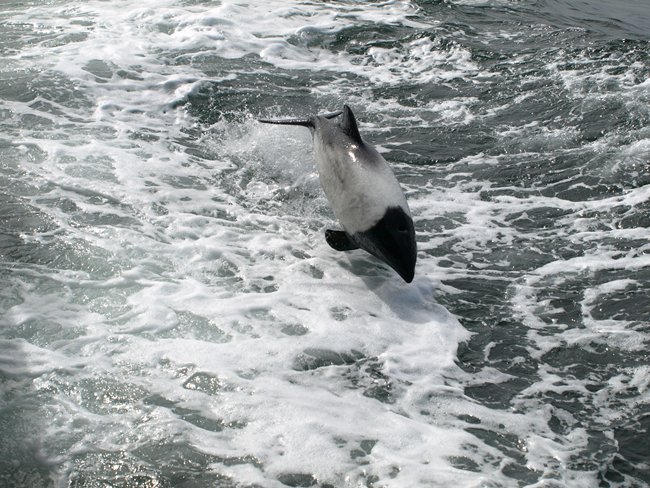 ../../Pictures/241209/103 Toninas overas.JPG